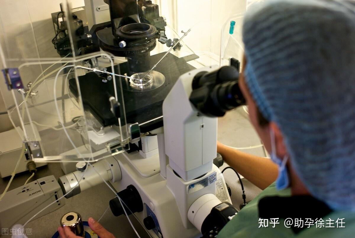 胚胎移植反复着床试管失败原因分析