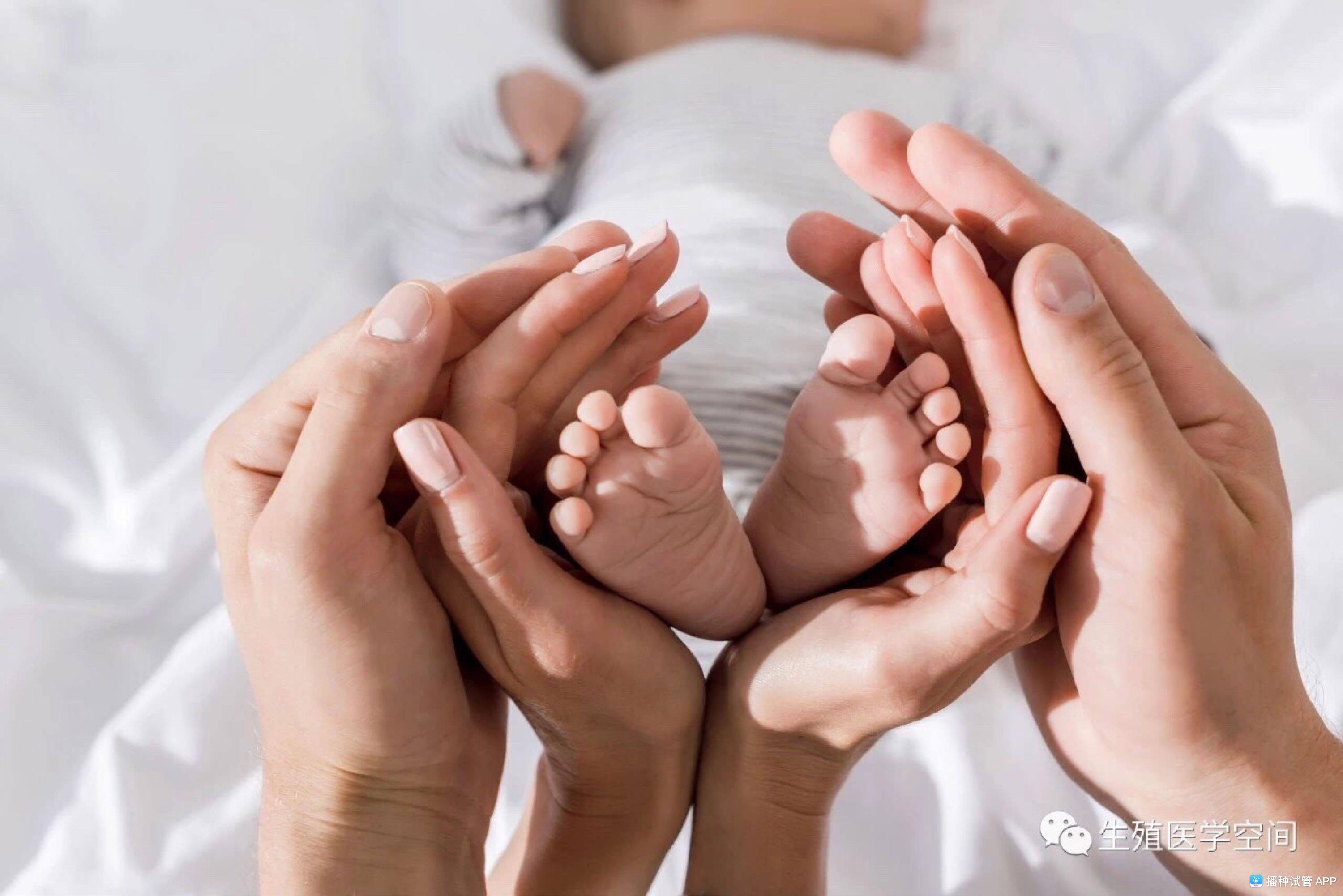 胚胎移植前子宫内膜准备