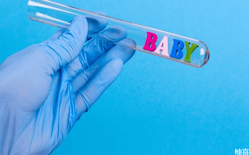 胚胎着床率影响因素分析：试管婴儿移植后解析