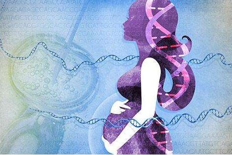 胚胎冷冻技术与试管婴儿移植周期准备